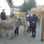Besuch von tiergestützter Therapie in Haina (Kloster)