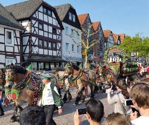 Pfingstumzug Frankenberg 2016 mit Dr. Daniela Sommer
