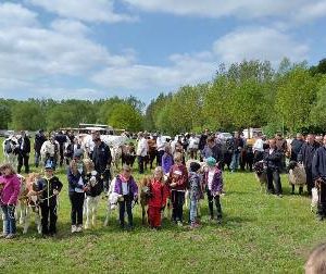 Tierschau Pfingstmarkt Frankenberg 2016 mit Dr. Daniela Sommer