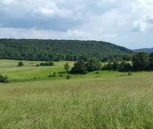 Besichtigung von FFH-Gebiet Sackpfeife
